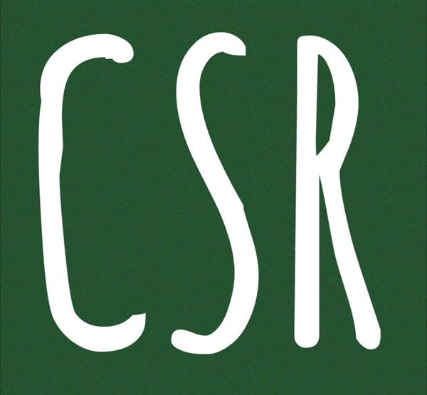 مسئولیت اجتماعی شرکتی و حمایت از حامی در سالی که گذشت.