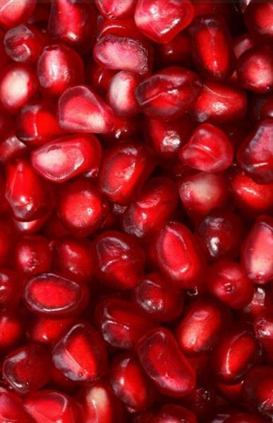 یلدا ، زایش و تولد است
