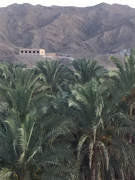 کوفیزا