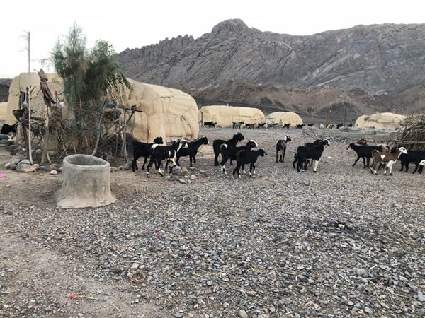 کلاکهوم