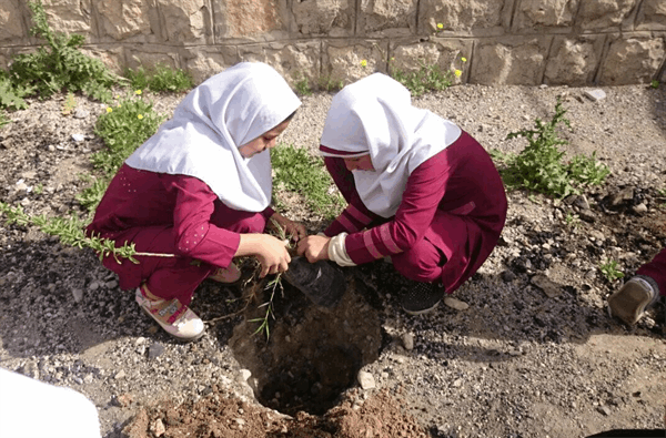 بدره