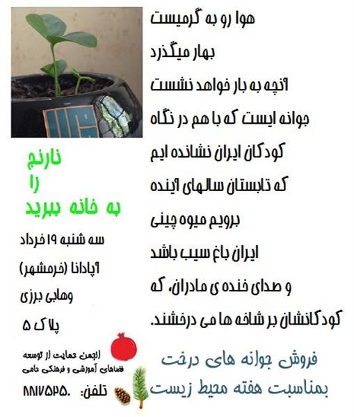 سه شنبه ۱۹ خرداد دفتر انجمن حامی  به بهانه روز جهانی محیط زیست،نارنج را به خانه ببریم،انار را به خانه ببریم، کاج را ،بنفشه را...