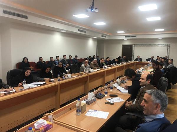 دومین" کارگاه تدوین سند توسعه ناحیه محور  در راستای توسعه پایدار روستایی در ایران