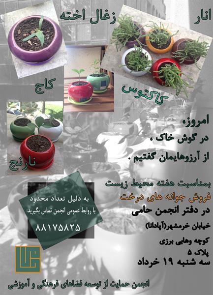 نارنج را به خانه ببریم