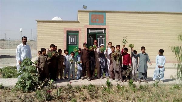 زنده باد! کتابخانه حامی شهر محمدی ، این بار محیط زیست