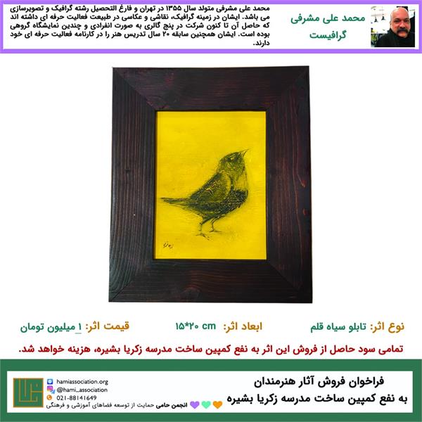 حمایت «محمدعلی مشرفی» هنرمند نقاش از فراخوان ساخت مدرسه‌ی زکریا بشیره