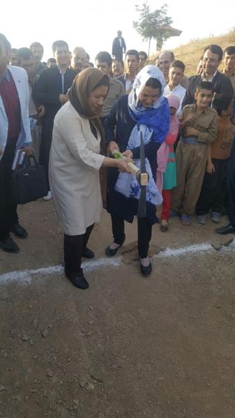 شهر ربط صاحب کتابخانه می شود.